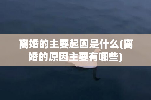 离婚的主要起因是什么(离婚的原因主要有哪些)
