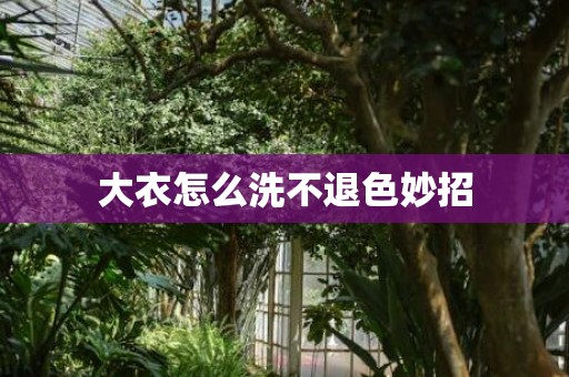 大衣怎么洗不退色妙招