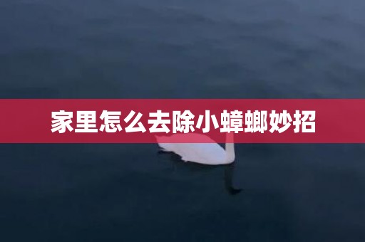 家里怎么去除小蟑螂妙招