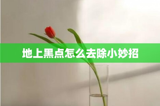 地上黑点怎么去除小妙招