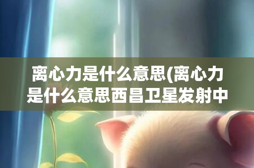 离心力是什么意思(离心力是什么意思西昌卫星发射中心成功发射过什么)