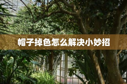 帽子掉色怎么解决小妙招