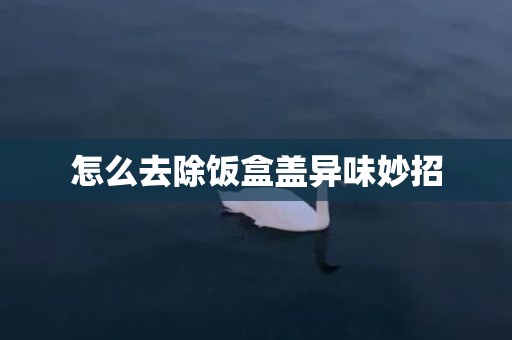 怎么去除饭盒盖异味妙招