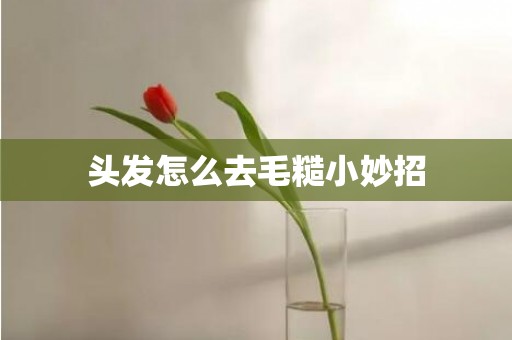 头发怎么去毛糙小妙招
