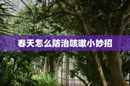 春天怎么防治咳嗽小妙招