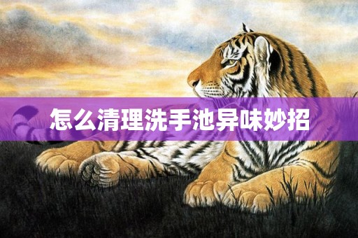 怎么清理洗手池异味妙招