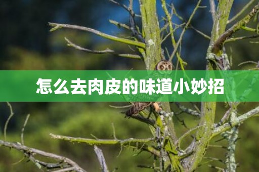 怎么去肉皮的味道小妙招