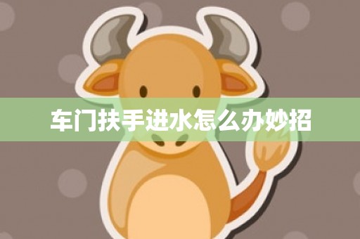 车门扶手进水怎么办妙招