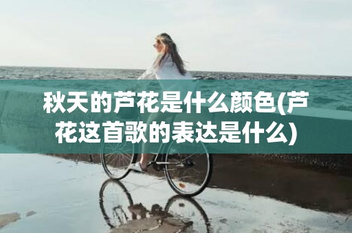 秋天的芦花是什么颜色(芦花这首歌的表达是什么)