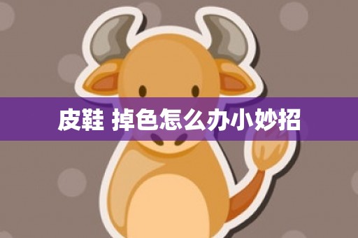 皮鞋 掉色怎么办小妙招