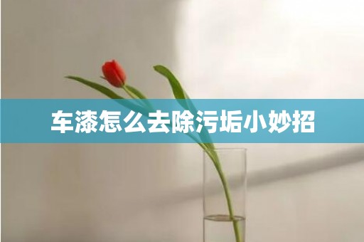 车漆怎么去除污垢小妙招