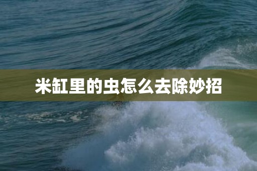 米缸里的虫怎么去除妙招