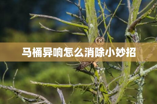 马桶异响怎么消除小妙招