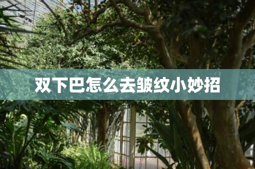 双下巴怎么去皱纹小妙招