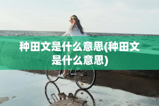 种田文是什么意思(种田文是什么意思)