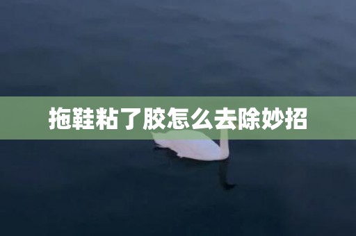 拖鞋粘了胶怎么去除妙招