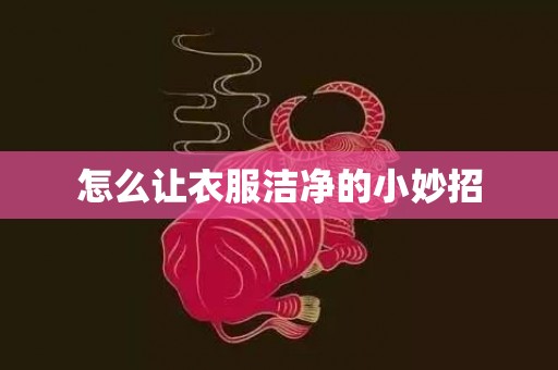 怎么让衣服洁净的小妙招