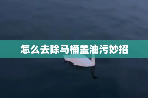 怎么去除马桶盖油污妙招