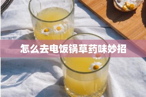 怎么去电饭锅草药味妙招