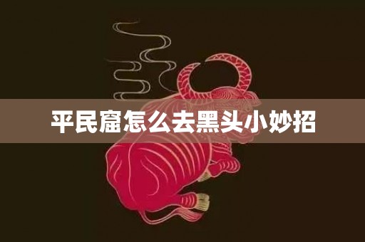 平民窟怎么去黑头小妙招