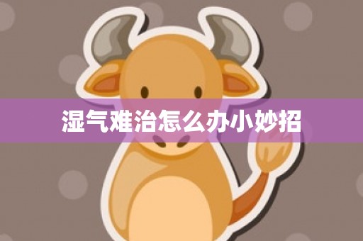 湿气难治怎么办小妙招