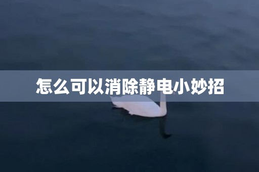 怎么可以消除静电小妙招