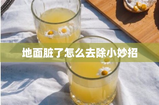 地面脏了怎么去除小妙招