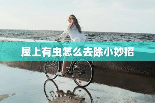 屋上有虫怎么去除小妙招