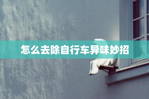 怎么去除自行车异味妙招