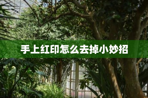 手上红印怎么去掉小妙招