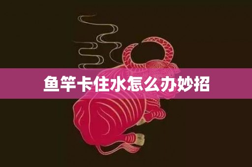 鱼竿卡住水怎么办妙招