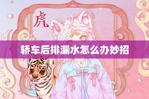 轿车后排漏水怎么办妙招