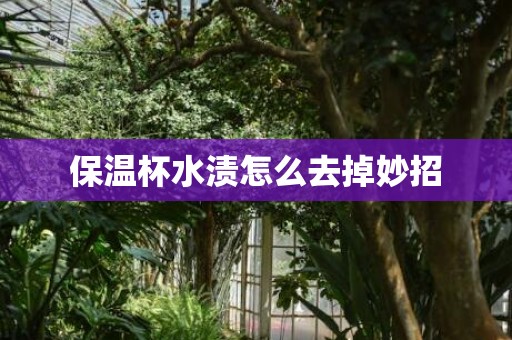 保温杯水渍怎么去掉妙招