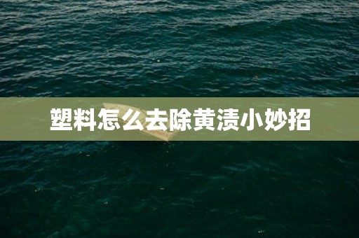 塑料怎么去除黄渍小妙招