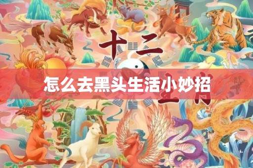 怎么去黑头生活小妙招