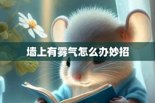 墙上有雾气怎么办妙招