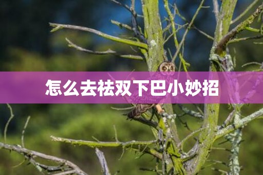 怎么去祛双下巴小妙招