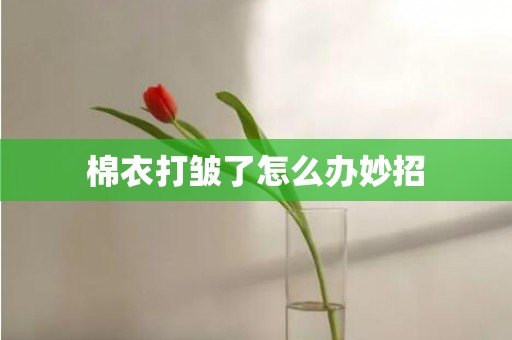 棉衣打皱了怎么办妙招