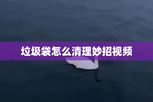 垃圾袋怎么清理妙招视频