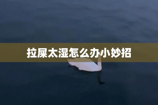 拉屎太湿怎么办小妙招