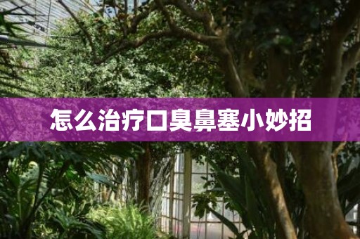怎么治疗口臭鼻塞小妙招