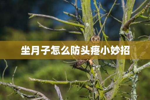 坐月子怎么防头疼小妙招