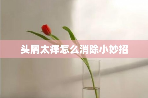 头屑太痒怎么消除小妙招
