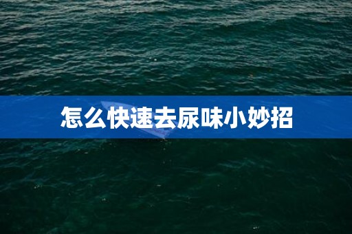 怎么快速去尿味小妙招