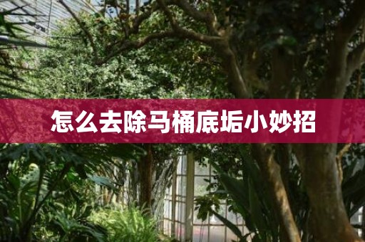 怎么去除马桶底垢小妙招
