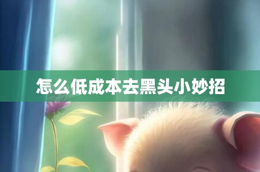 怎么低成本去黑头小妙招