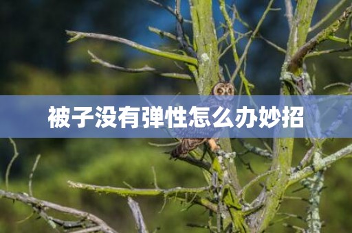 被子没有弹性怎么办妙招