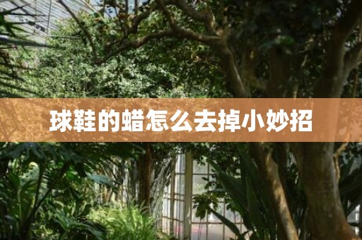 球鞋的蜡怎么去掉小妙招