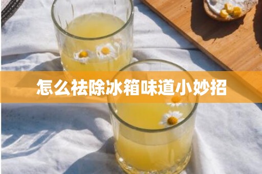 怎么祛除冰箱味道小妙招