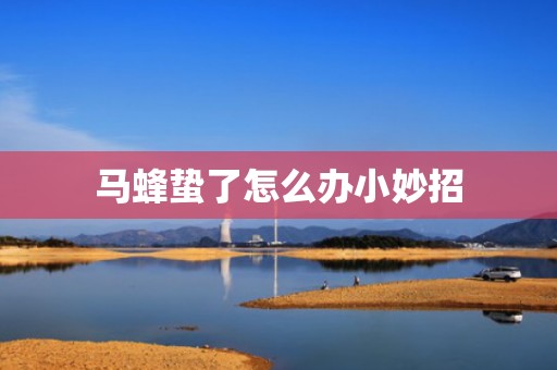 马蜂蛰了怎么办小妙招